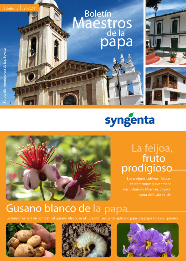 Propuesta boletín diagramación